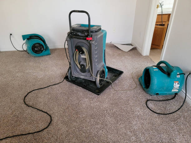 Best Flood damage cleanup  in La Grande, OR