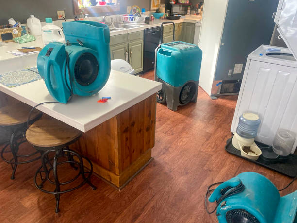 Best Water damage mitigation services  in La Grande, OR