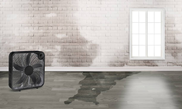 Reliable OR Water damage restoration Solutions